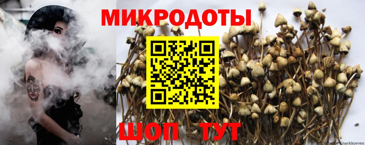 Медногорск  Галлюциногенные грибы Psilocybine cubensis  Псилоцибиновые грибы GOLDEN TEACHER  Вход с VPN 