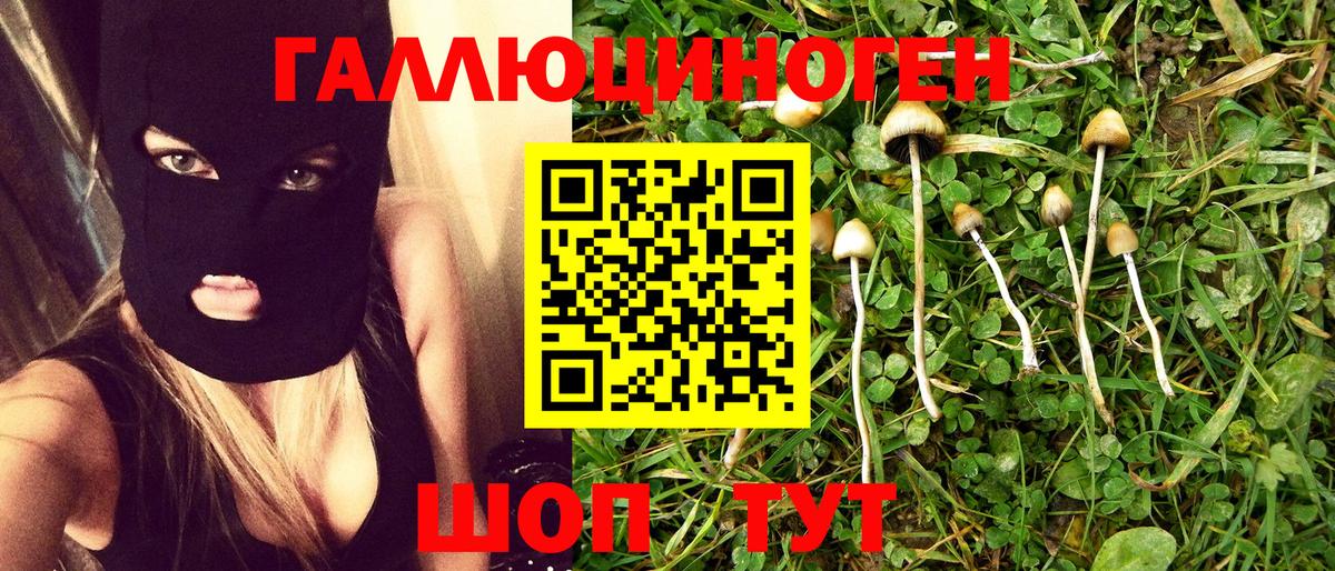 Галлюциногенные грибы GOLDEN TEACHER Медногорск