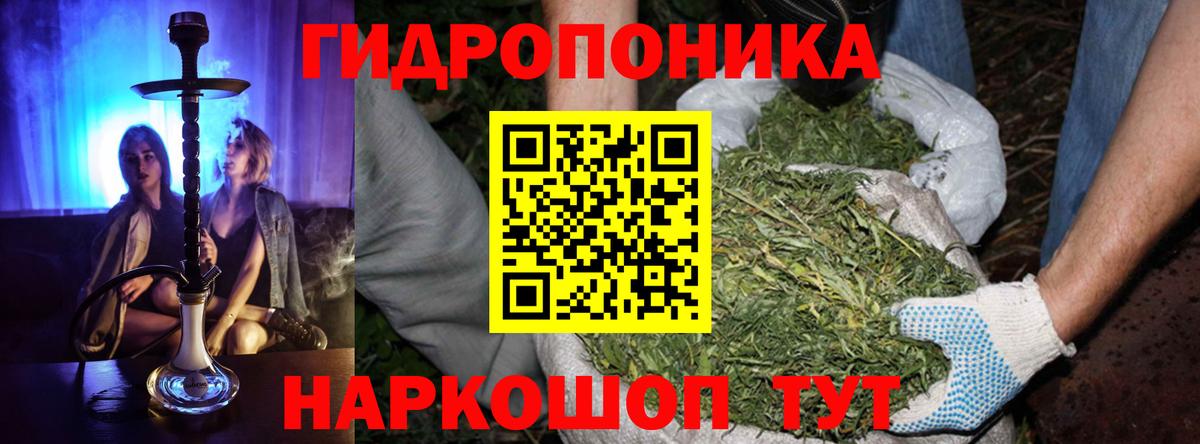 Бошки марихуана OG Kush  Бошки Шишки ГИДРОПОН  Вход с VPN  Канабис гибрид  Бошки марихуана сатива  Медногорск 